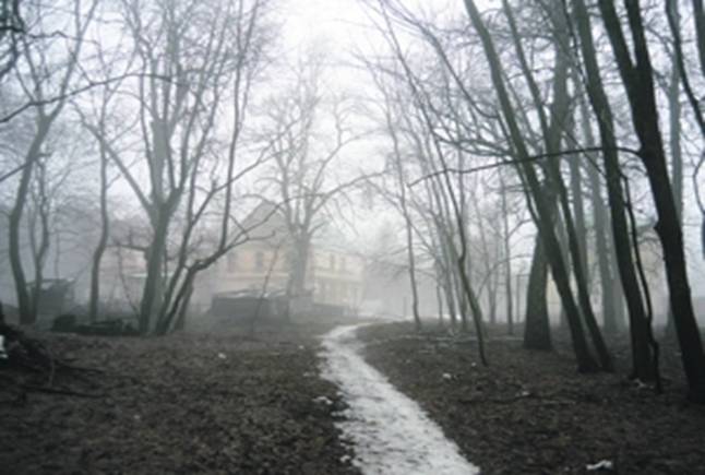 Файл:Clip image0021.jpg