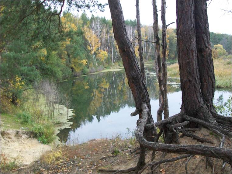 Файл:Точка №15.jpg