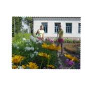 На фоне школы2.jpg