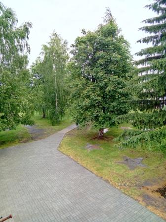 Сельский парк.jpg