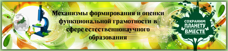 Файл:17 раздел.png