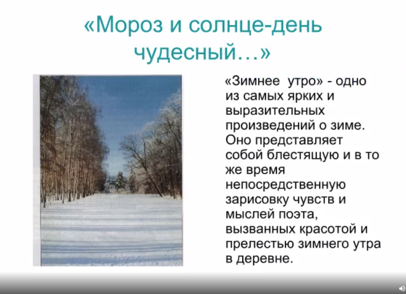 Файл:Книговеды 3.png