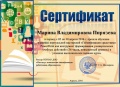 PIRMVсертификат1.jpg