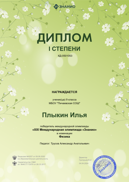 Файл:Плыкин Илья 9б.png