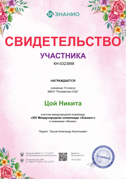 Файл:Цой Никита.png