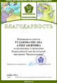 Благодарность3 (3).png