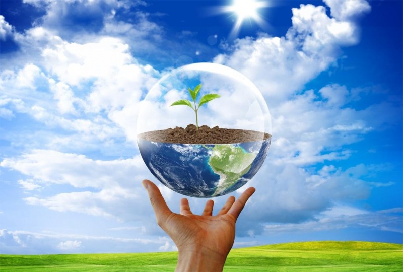 Файл:Парк 1234.jpg