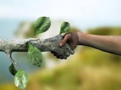 Социоприродная среда.jpg