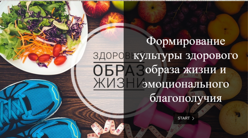 Файл:Мартынова курс.png